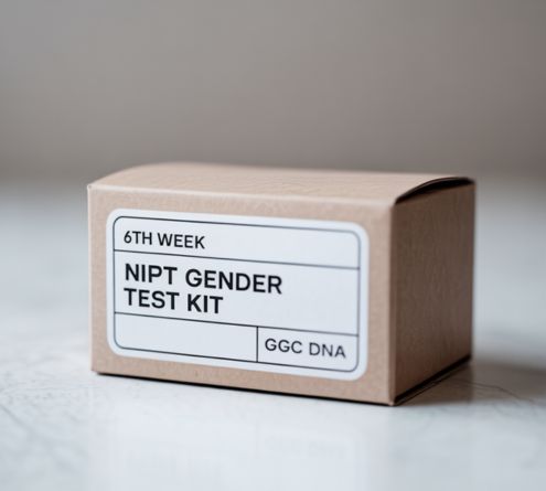 kit1