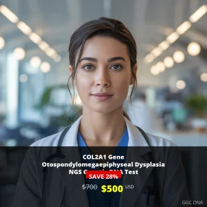 COL2A1 Gene Otospondylomegaepiphyseal Dysplasia NGS Test - $500 USA Price | Comprehensive Genetic Testing