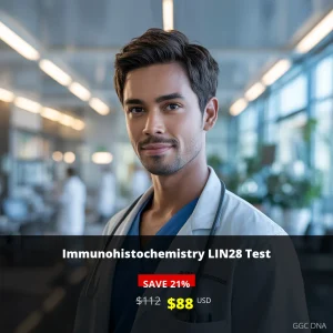 Immunohistochemistry LIN28 Test - $88 USD | Cancer Biomarker Testing USA | GGC DNA